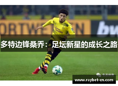 多特边锋桑乔：足坛新星的成长之路